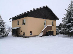 Vila Marianna Destne V Orlickych Horach